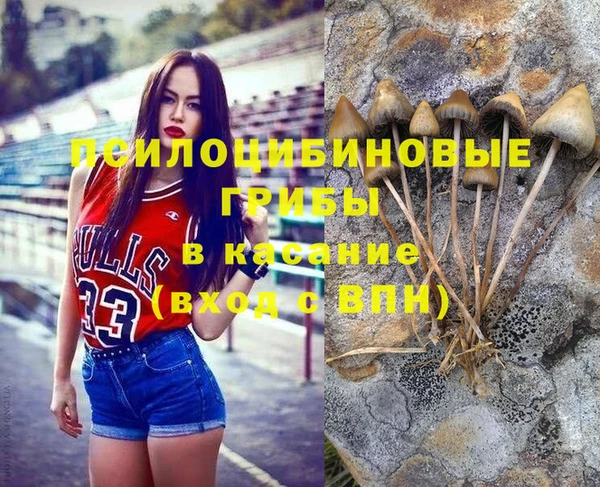 таблы Медногорск