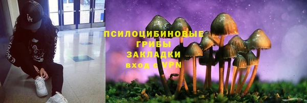 таблы Медногорск
