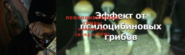 таблы Медногорск