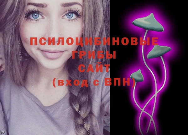 мдма Медвежьегорск