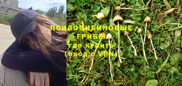 мдма Медвежьегорск