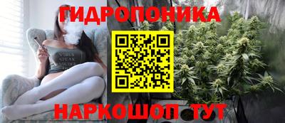 apvp Ирбит