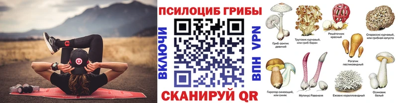 купить   Ялта  Галлюциногенные грибы Magic Shrooms 