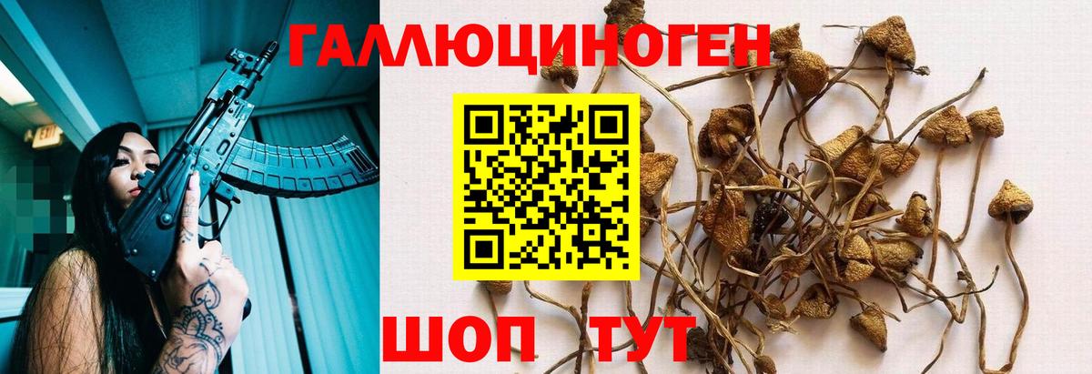 Псилоцибиновые грибы GOLDEN TEACHER  Вход с VPN  Ялта 